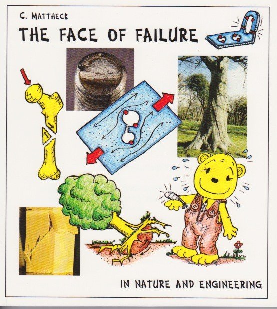 The Face of Failure in Nature and Engineering