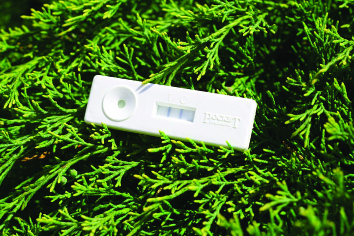 All information about “Pocket Diagnostics”