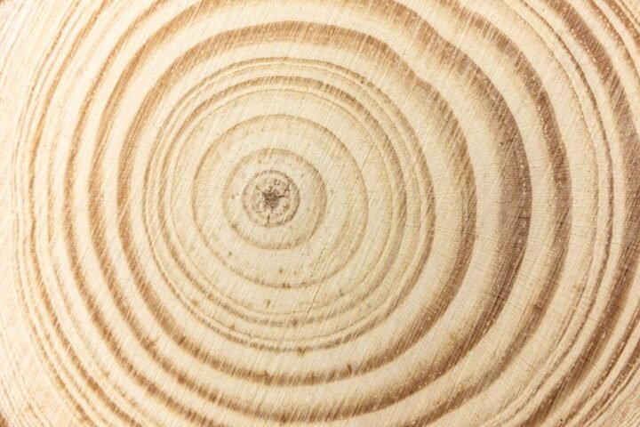 Wood Analysis: Why Measurement Curves Can Flatten